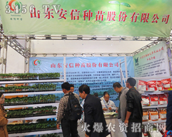 ɽ�|���ŷN������Ŀ�����c(di��n)