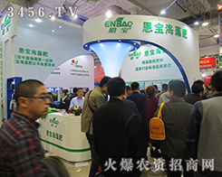 ɽ�|��������չʾ��Ʒ��������ò