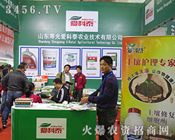 �۹�ۿ�̩�r(n��ng)�I(y��)���g(sh��)����չʾ