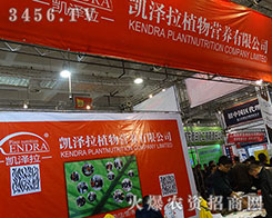 Ӣ��(gu��)�P����ֲ����ڇLԇ�����ڄ�(chu��ng)����