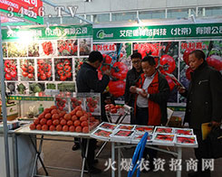 ����·N��Ƽ�2015�����I�N����(hu��)���P(gu��n)ע�ȱ��q��