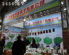 ������¡�N����Ӱ�o̎������