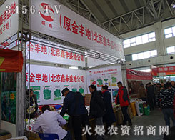 �������Sʢ�؝M�d���w���T������