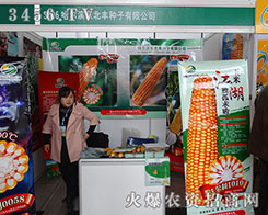 �����I�|���S�c����s��Ҋ��ɢ