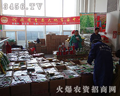 �ӱ���h�������������2015�����I�N�ӕ�