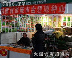 ��Ҵ�н��Դ�N�I(y��)ʢ�b��չ2015�����I�N�I(y��)���[��