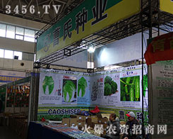 ���ϷN�I(y��)���|(zh��)�������棬�����u��l(f��)չ