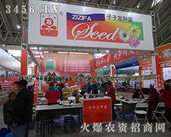 ���Ӱl(f��)�N���c��y�ֲ��M������(chu��ng)�x��