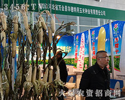 �ӱ�ʡ�fȫ�h�A���������׷N�I(y��)�����������ŗ���