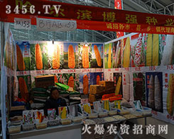 �����I����(qi��ng)�����������ŗ���