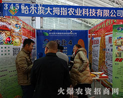 �����I��Ĵָ2015�����I�N�ӕ�(hu��)�������ӡ��