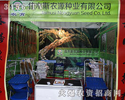 2015�����I�N�ӕ�(hu��)����ľ˹�r(n��ng)Դ�ٶȳ����(ji��n)�־��Ǆ���