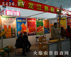 2015�����I�N�ӕ��� �i���^��ǰ��