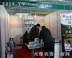 2015�����I�N�ӽ��ו����r(sh��)������Ƽ��˚ⱬ��