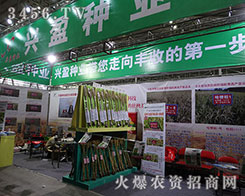 �dӯ�N�I(y��)�ڶ�ʮһ�ù����I�N����ӭ���C(j��)����¶�^��