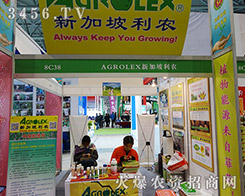 �¼������r�Գ�Ŭ���Ǟ����C���Լ�