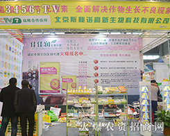 ����˹���Z��������2015ֲ���p��������ͣ������