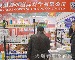 Ӣ�������ƌW(xu��)ʢ�b��չ2015ֲ���p����