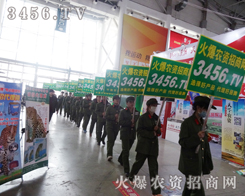 ��S���������Gɫ��(zh��n)ʿ�x�����o��؟����