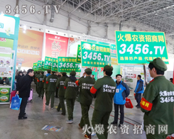 3456.TV��ҧ�o���P(gu��n)���وԳ�һ��