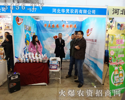 �ӱ��A�`�rˎ��2015�ӱ�ֲ���p�����W���ǈ�