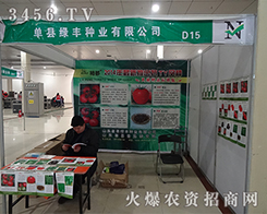 �ӱ��G�S�ڵ�10�úʝ��r(n��ng)�Y��(hu��)�Ź��