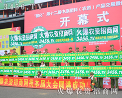 3456.TV��չ���F(xi��n)���γ���һ���������L����