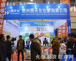 �F���F�컯���ʞ�2015���ݷ��ϕ�(hu��)�߱Mȫ��