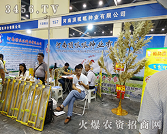 ��������ɽ���2015���ݷN�ӽ������ل�(chu��ng)�x��