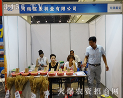 ���ϸ����N�I(y��)�@ƥ���R��2015�N�ӕ�(hu��)����M�ճ���