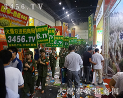 2015�����ļ��N�ӕ����������o̎����