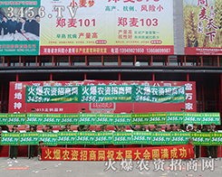 2015�ļ��N�ӕ����𱬑�(zh��n)ʿ��s����