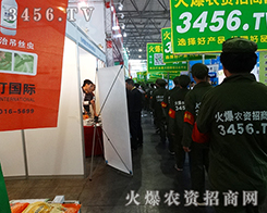 �Gɫ��(zh��n)ʿ���҂�Ŭ�����𱬓P(y��ng)����