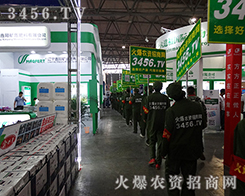 2015�������N�ӽ��ו�(hu��)�㌑(xi��)���飡