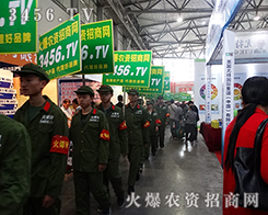 2015���r�Y���̈Fꠓ�ռ�����Ј�