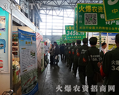 2015���������r(n��ng)������,�r(n��ng)�Y�W(w��ng)���{(di��o)���࣬���҂��ďS��������������