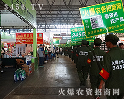 ���c���c���������r(n��ng)�Y�W(w��ng)������������