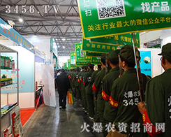 ���r(n��ng)�Y���̾W(w��ng)�������F꠵õ��ˏS�Һͽ�(j��ng)�N�̵����