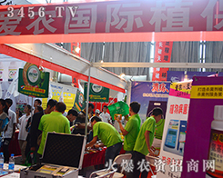 ���r(n��ng)ֲ������(w��)���޹�˾����2015�����r(n��ng)����-2015��12�������r(n��ng)�Y���[��