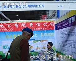 �Ĵ�ʡʲ�������_(d��)��������؟(z��)�ι�˾����2015�����r(n��ng)����(hu��)-2015��12�������r(n��ng)�Y���[��(hu��)