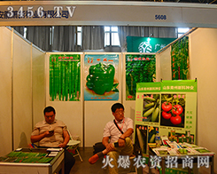 ����ʒ�·N�I(y��)��������2015�����r(n��ng)����