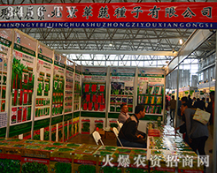 �����A�߷N����2015�����r(n��ng)�Y���[���ϻ�������