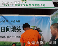 2015�����r(n��ng)����(hu��)�{(l��n)�Ȭ����Q(m��o)�����������A���˴�ҵ�����