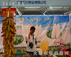 �V���f(w��n)���N�I(y��)�ٴ��A��������2015�����r(n��ng)����(hu��)