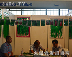 ����ǰ�M(j��n)��(chu��ng)�·N�I(y��)һ���������L(f��ng)����