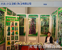 �d���˾��r(n��ng)�N�I(y��)���������^����Ϣ��