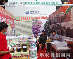 �Ϻ������r(n��ng)�I(y��)Ŭ��ƴ��2015�����r(n��ng)�Y���[��