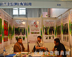 �V�h��ʢ�N�I(y��)��2015�����r(n��ng)�Y���[��(hu��)�ϏV�ܲ�Ŀ