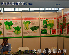 �����۵��f˹�N�ӹ����r(n��ng)�Yʢ��