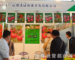 �ɶ���(y��u)���r(n��ng)�I(y��)�`�Ž�(j��ng)����